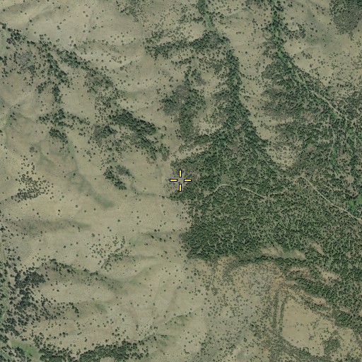 Aerial/Satellite Image of Burnt Mountain, OR