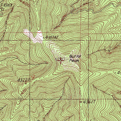 Topographic Map of Burnt Peak, OR