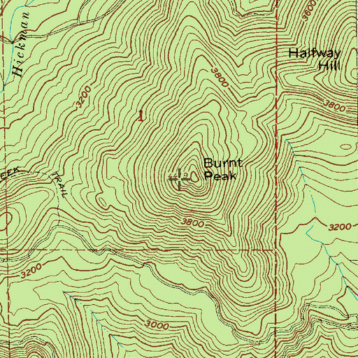Topographic Map of Burnt Peak, OR