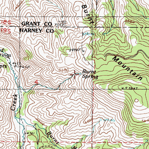 Topographic Map of Burnt Spring, OR