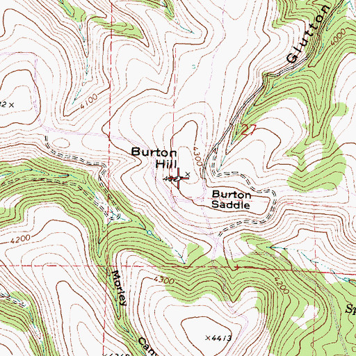 Topographic Map of Burton Hill, OR