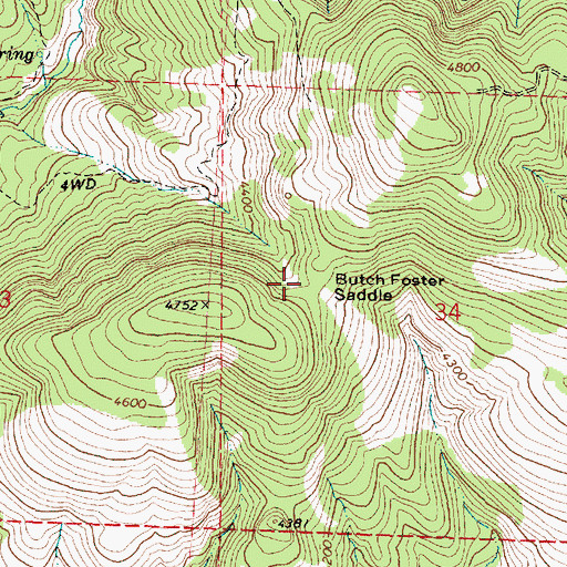 Topographic Map of Butch Foster Saddle, OR