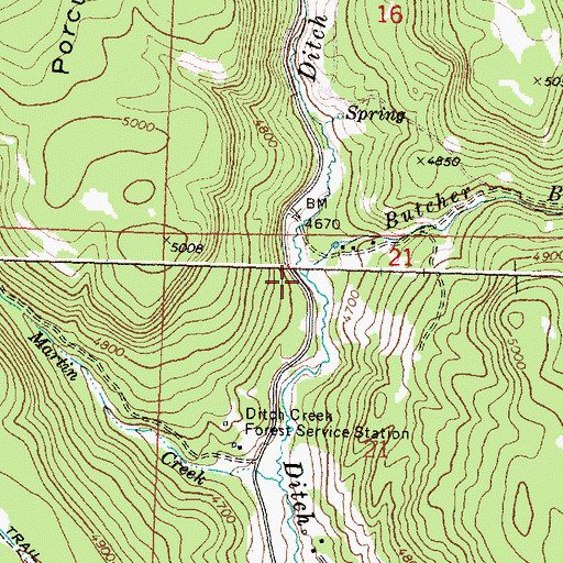 Topographic Map of Butcher Bill Creek, OR