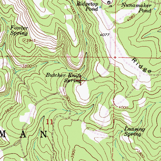 Topographic Map of Butcher Knife Spring, OR