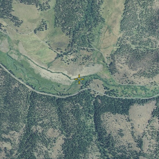Aerial/Satellite Image of Butte Creek, OR