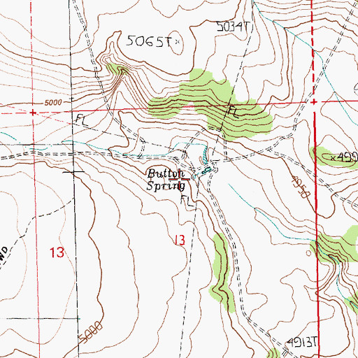 Topographic Map of Button Springs, OR