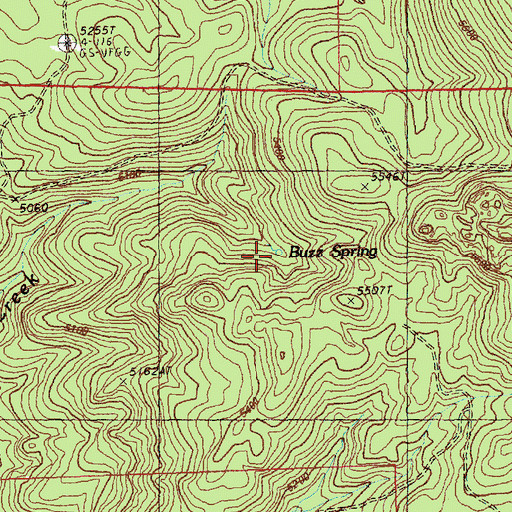Topographic Map of Buzz Spring, OR