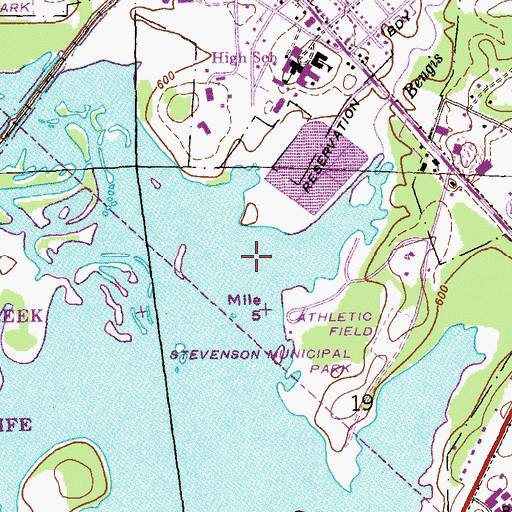 Topographic Map of Bengis Creek, AL
