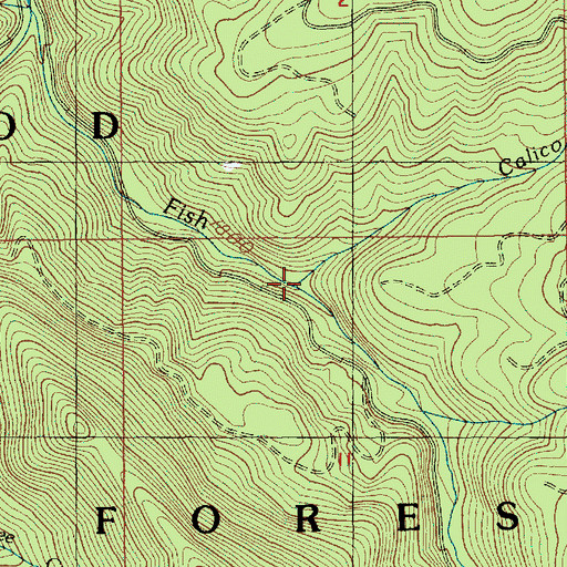 Topographic Map of Calico Creek, OR