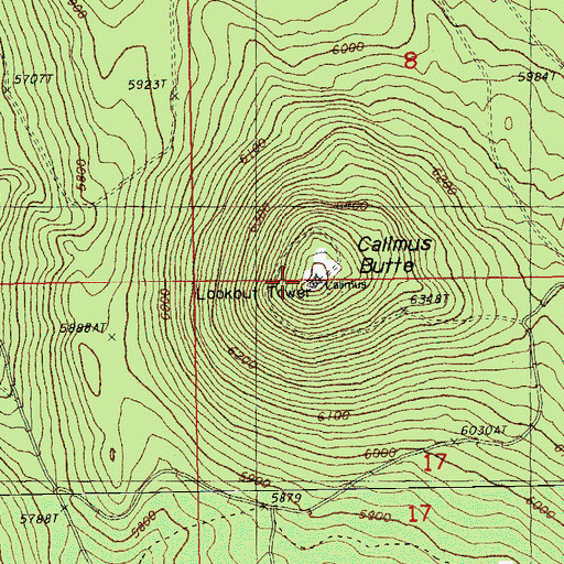 Topographic Map of Calimus Butte, OR