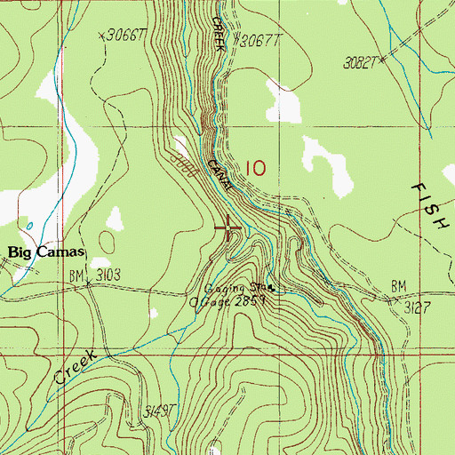 Topographic Map of Camas Creek, OR