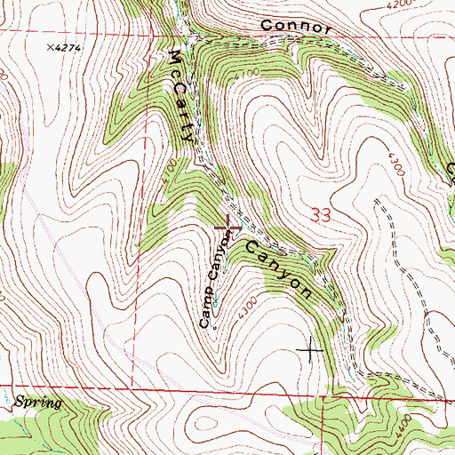Topographic Map of Camp Canyon, OR