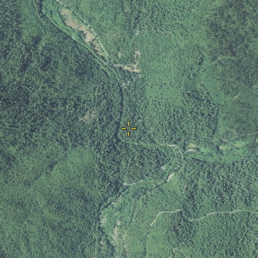 Aerial/Satellite Image of Grayback Campground, OR