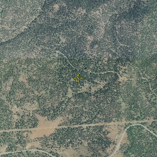 Aerial/Satellite Image of Camp Spring, OR