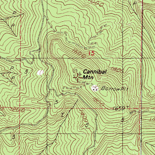 Topographic Map of Cannibal Mountain, OR