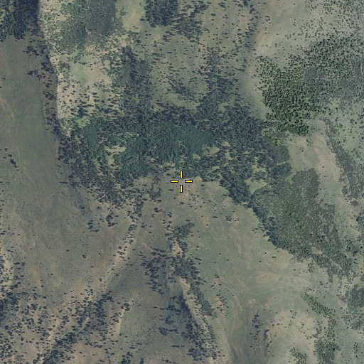 Aerial/Satellite Image of Capps Mountain, OR