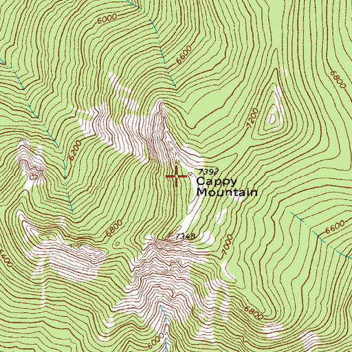 Topographic Map of Cappy Mountain, OR