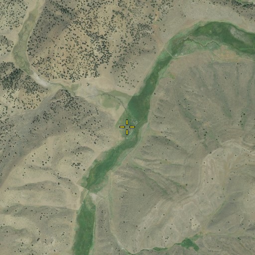Aerial/Satellite Image of Caps Creek, OR