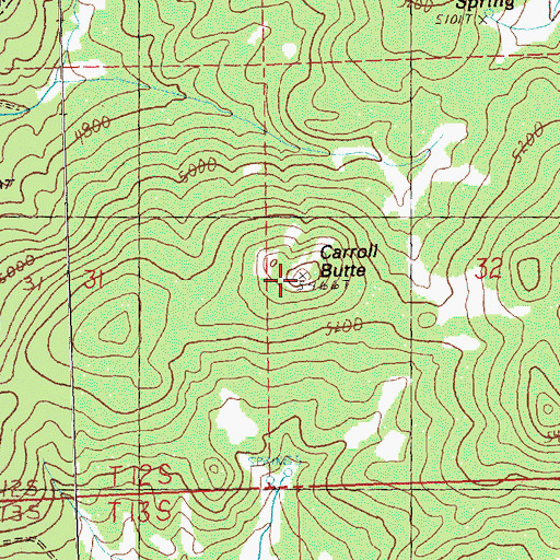 Topographic Map of Carroll Butte, OR