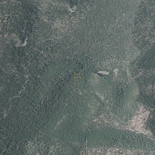 Aerial/Satellite Image of Cascade Spring, OR