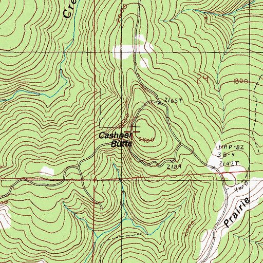Topographic Map of Cashner Butte, OR