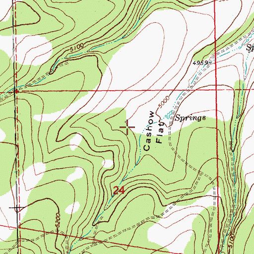 Topographic Map of Cashow Flat, OR
