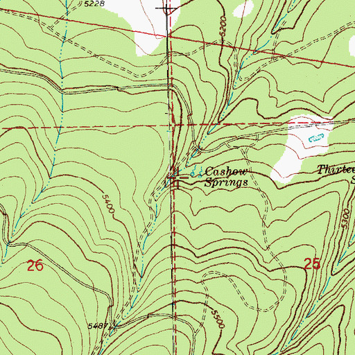 Topographic Map of Cashow Springs, OR