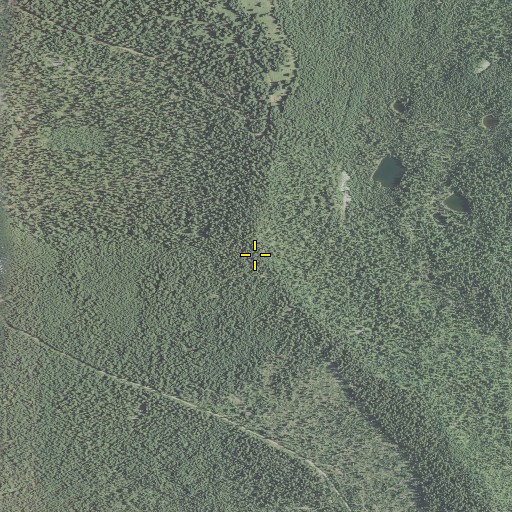 Aerial/Satellite Image of Cat Hill, OR