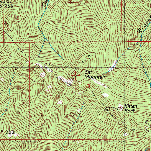 Topographic Map of Cat Mountain, OR