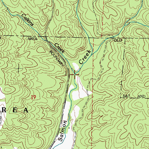 Topographic Map of Calkins Creek, OR