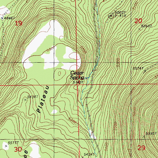Topographic Map of Cedar Spring, OR