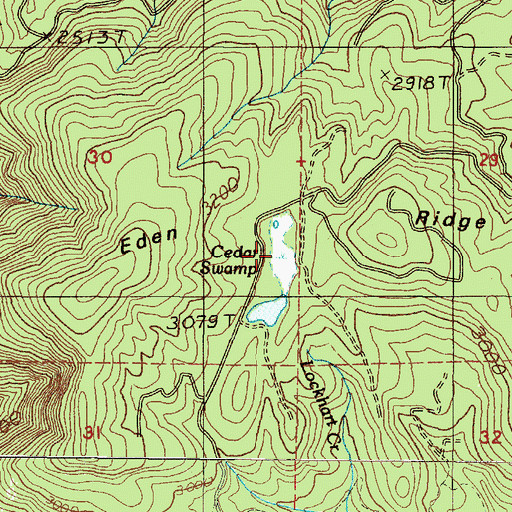 Topographic Map of Cedar Swamp, OR