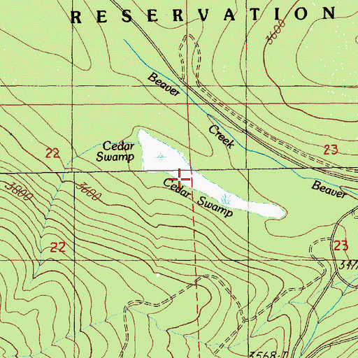 Topographic Map of Cedar Swamp, OR