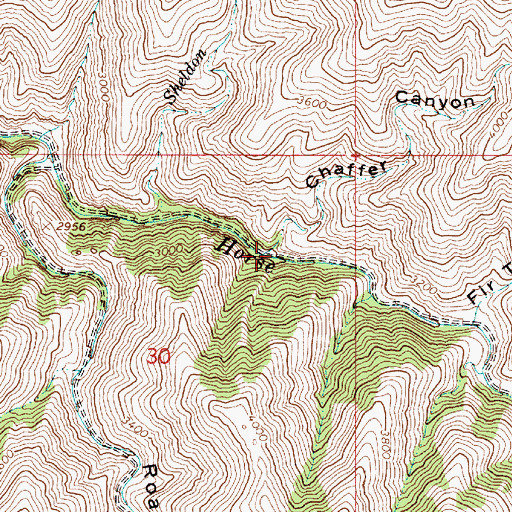 Topographic Map of Chaffer Canyon, OR