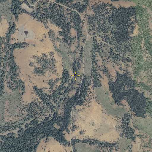 Aerial/Satellite Image of Chamberlin Spring, OR