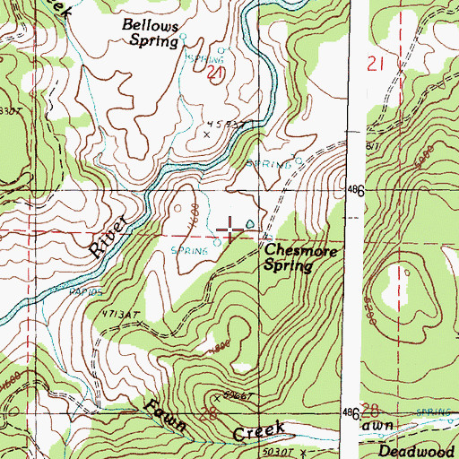 Topographic Map of Chesmore Spring, OR