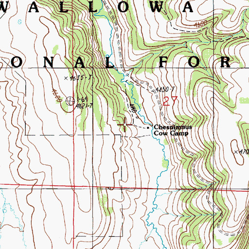 Topographic Map of Chesnimnus Cow Camp, OR