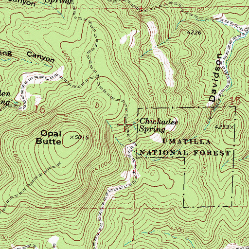 Topographic Map of Chickadee Spring, OR