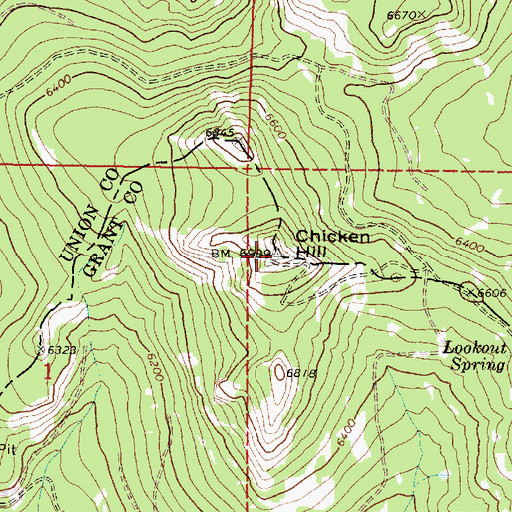 Topographic Map of Chicken Hill, OR
