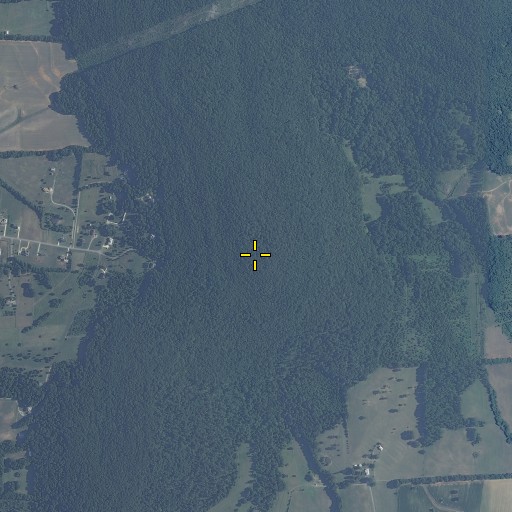 Aerial/Satellite Image of Berry Mountain, AL