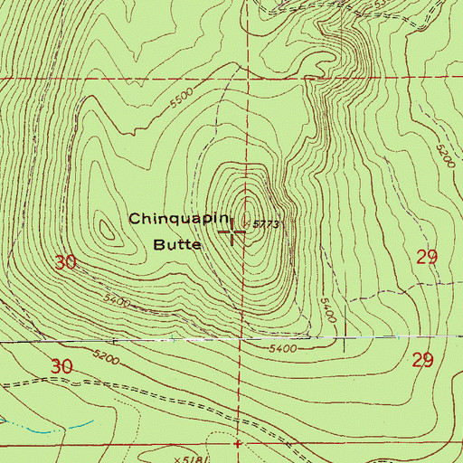 Topographic Map of Chinquapin Butte, OR