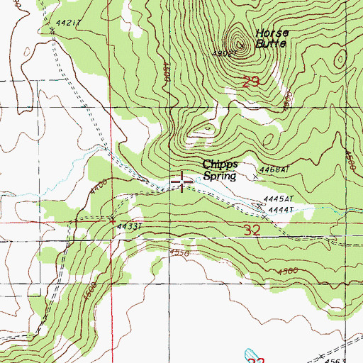 Topographic Map of Chipps Spring, OR