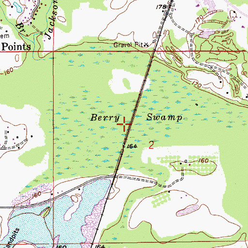 Topographic Map of Berry Swamp, AL