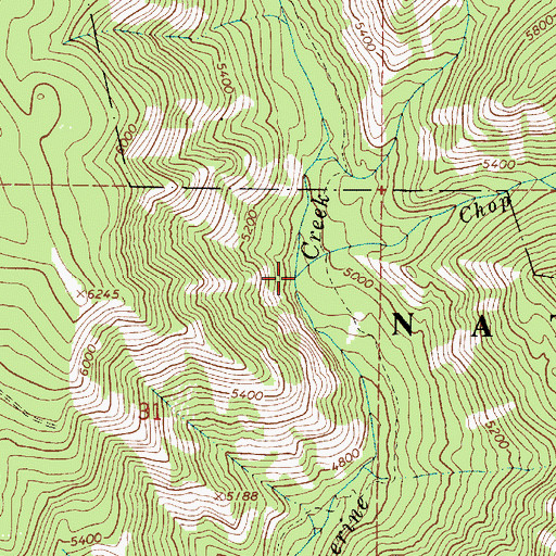 Topographic Map of Chop Creek, OR