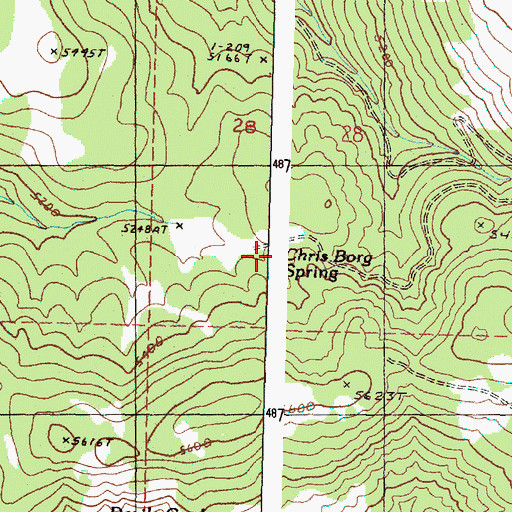 Topographic Map of Chris Borg Spring, OR