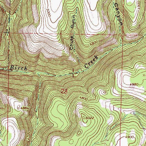 Topographic Map of Chute Gulch, OR