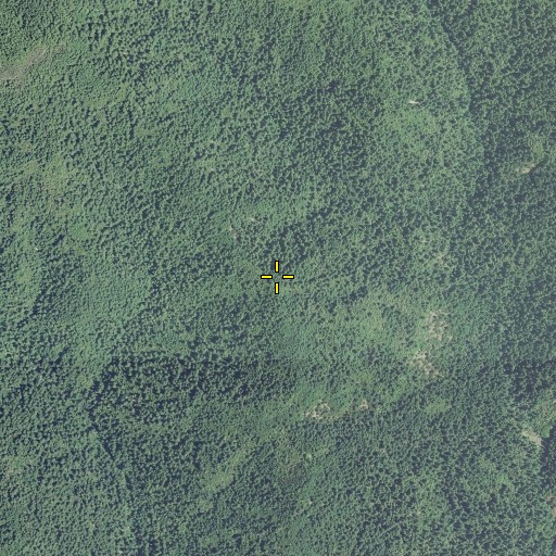 Aerial/Satellite Image of Clay Hill, OR