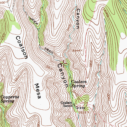 Topographic Map of Skeleton Canyon, AZ