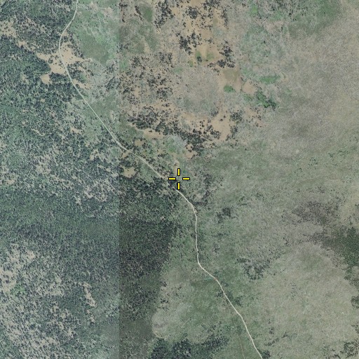 Aerial/Satellite Image of Cold Spring, OR