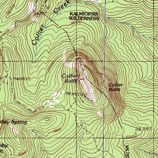 Topographic Map of Collier Butte, OR